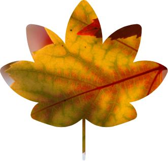 Autumn icon