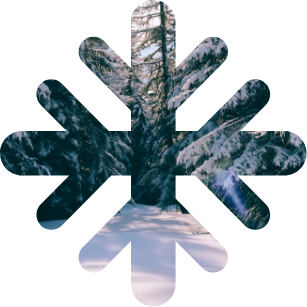 Winter icon